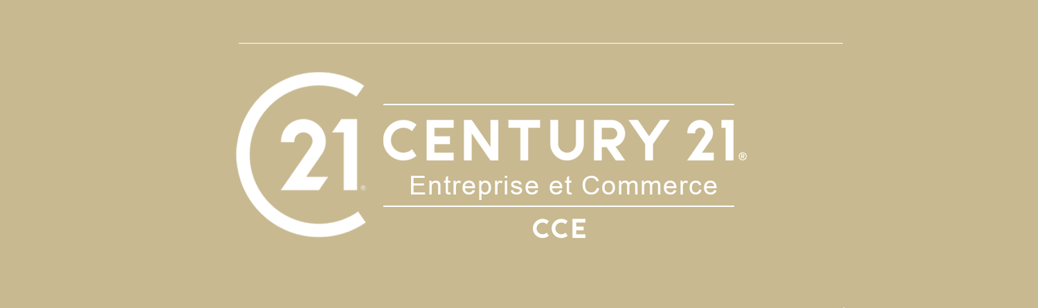 CCE ENTREPRISE & COMMERCE